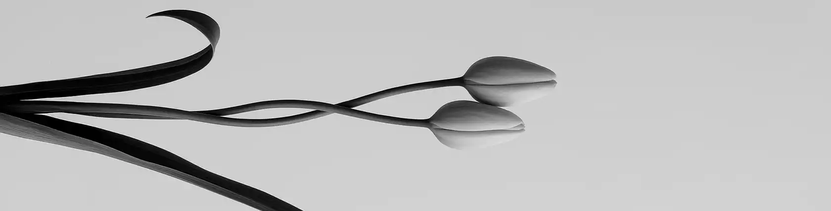 Tekderma_ginecología_clinica_valencia