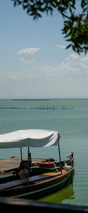 Parque Natural de la Albufera