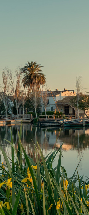 El Parque Natural de la Albufera