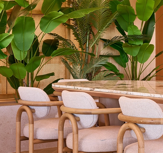Eventos Calderona Wellness celebraciones