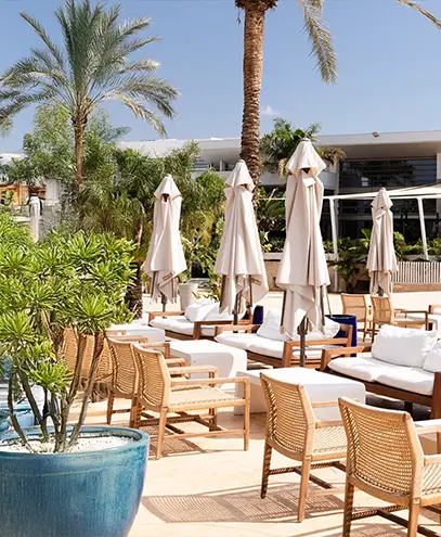 Caliza restaurante