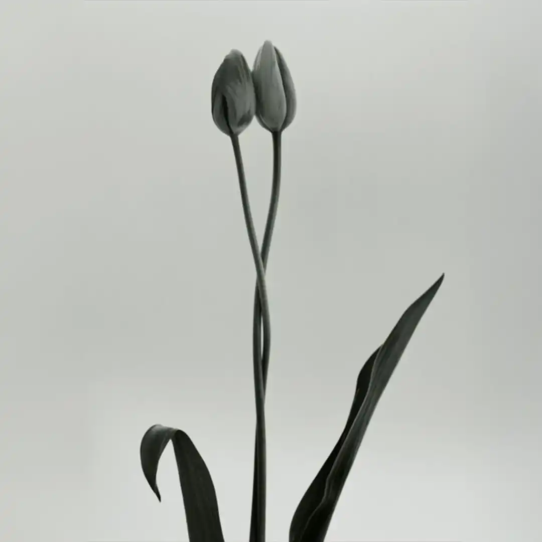 Sin título-2-Recuperado